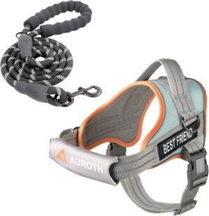 AUROTH Dog Harness and Leash Set fo...