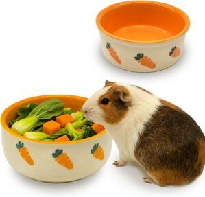 kathson 2 Pcs Hamtser Food Bowl,Cer...