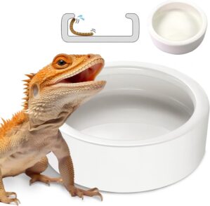 Reptile Food Bowl Lizard Gecko Cera...